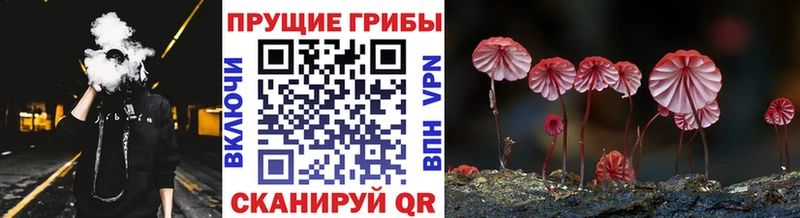 Псилоцибиновые грибы MAGIC MUSHROOMS  Воскресенск 